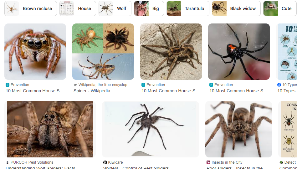 Screenshot 2025-06-29 213101